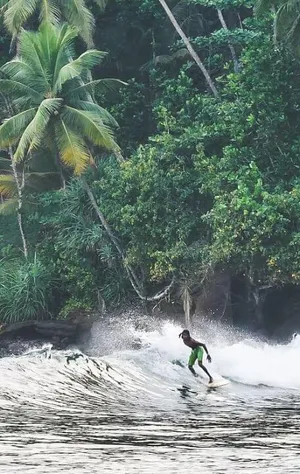 Surfcamps Sri Lanka